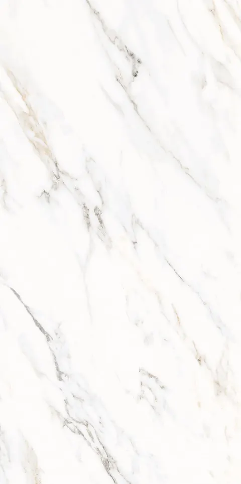ALABASTER WHITE view 8